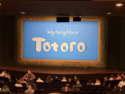 Totoro stage curtain