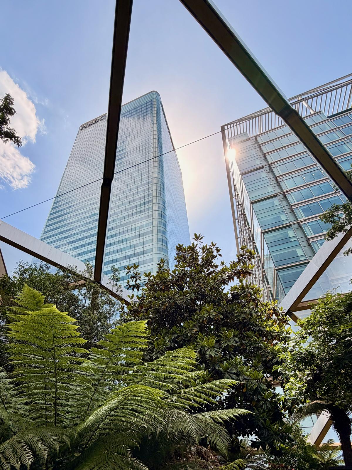 Garden & syscrapers