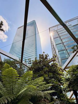 Garden & syscrapers