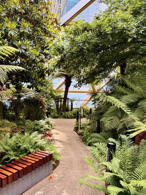 The garden on top of the station
