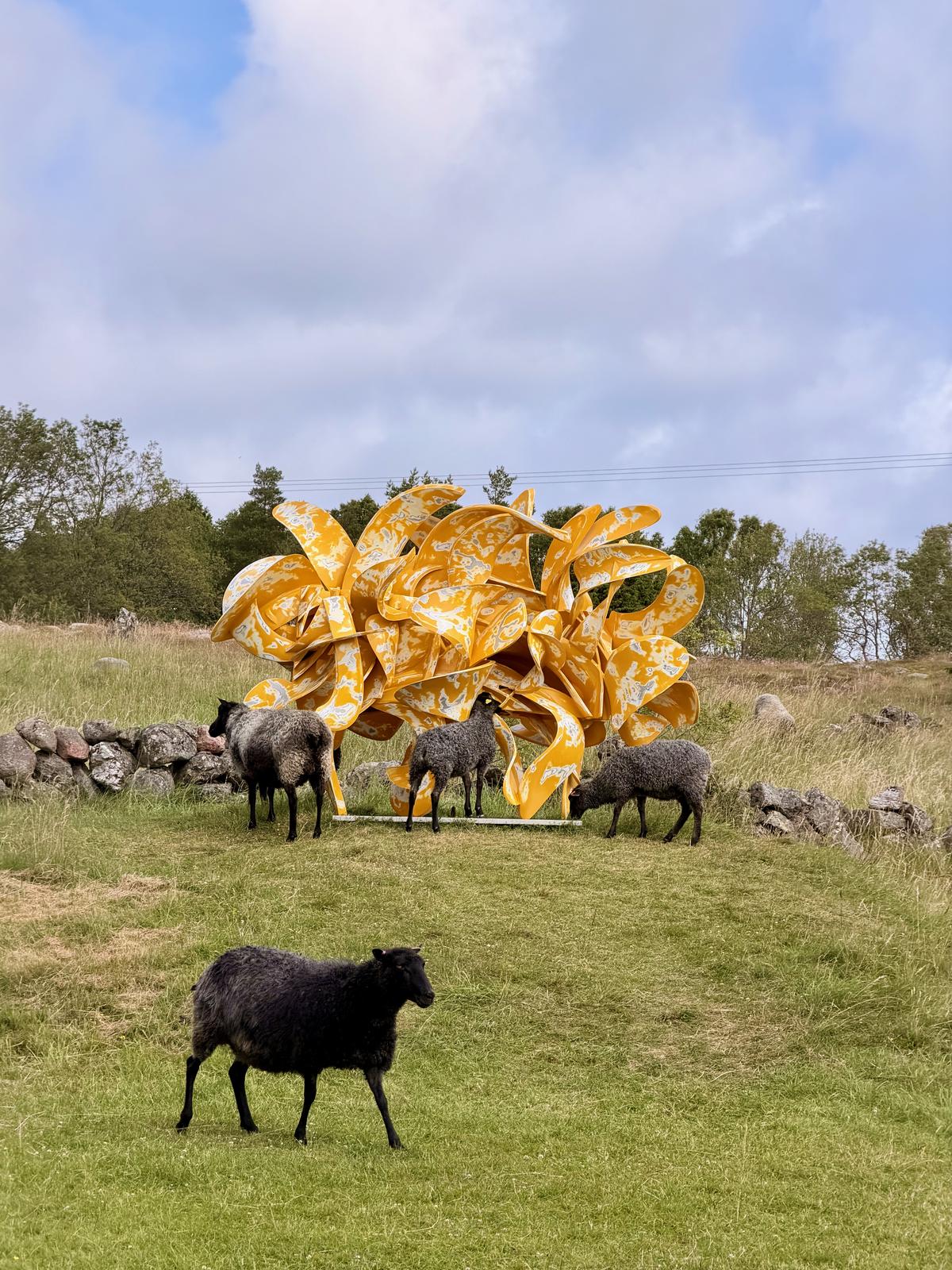 Yellow sculture and sheep
