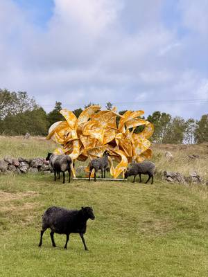 Yellow sculpture and sheep