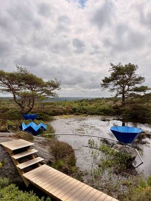 Blue sculptures by pond