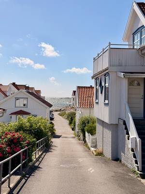 Street lined with white houses